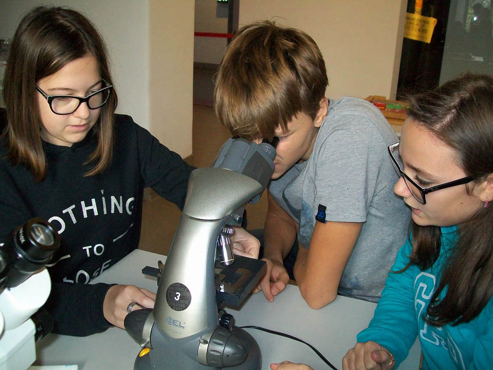 Istituto San Giuseppe La Salle Milano Scuola Secondaria Classi Terze Uscita Didattica Laboratorio Genetica Museo Nazionale Scienza e Tecnologia Leonardo da Vinci_2