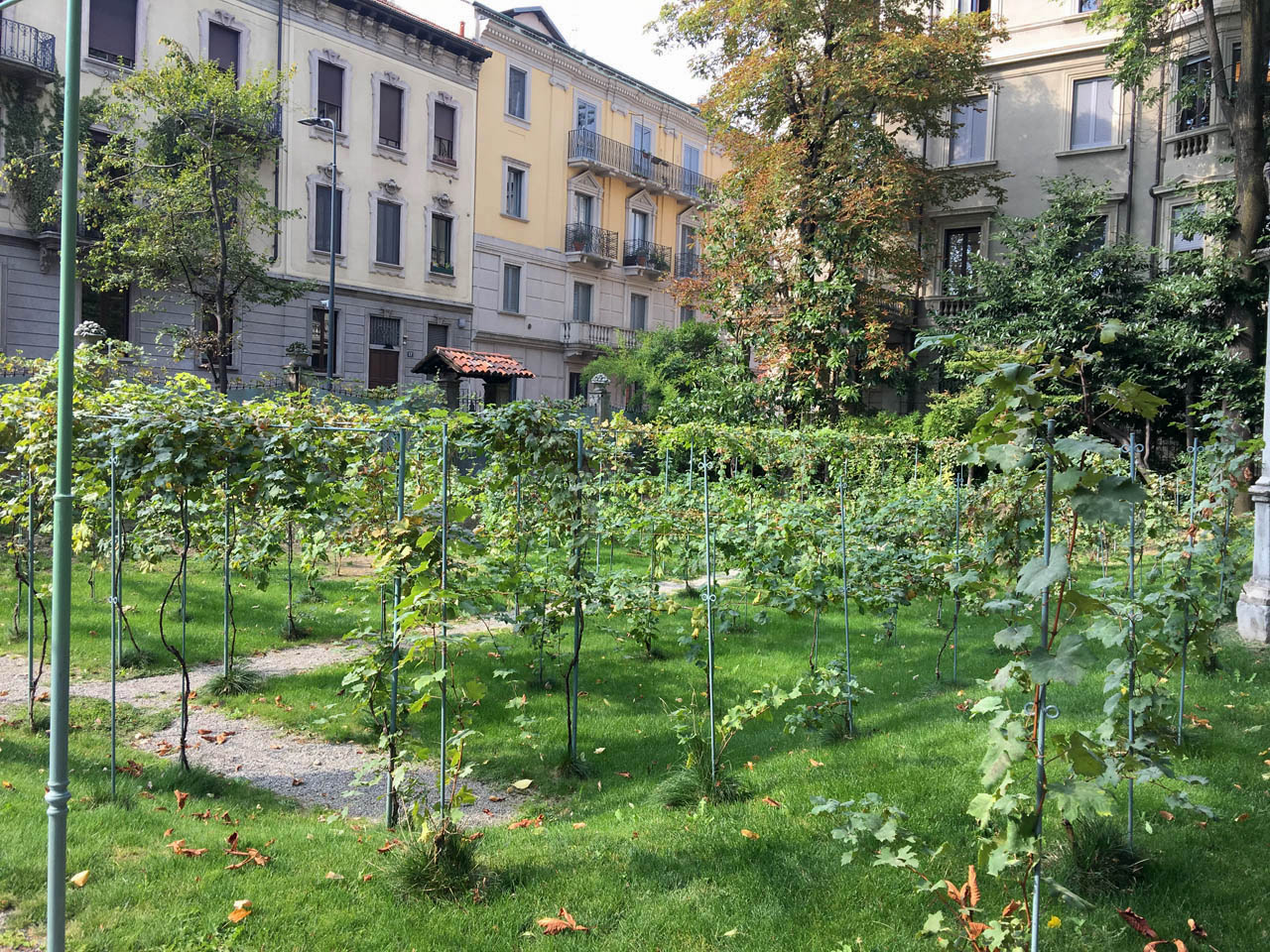 Istituto San Giuseppe La Salle Milano Scuola Primaria Classi Quarte Uscita Didattica Vigna di Leonardo_2